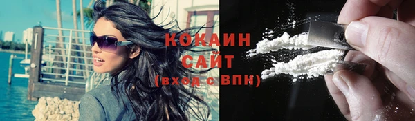 крисы Абаза