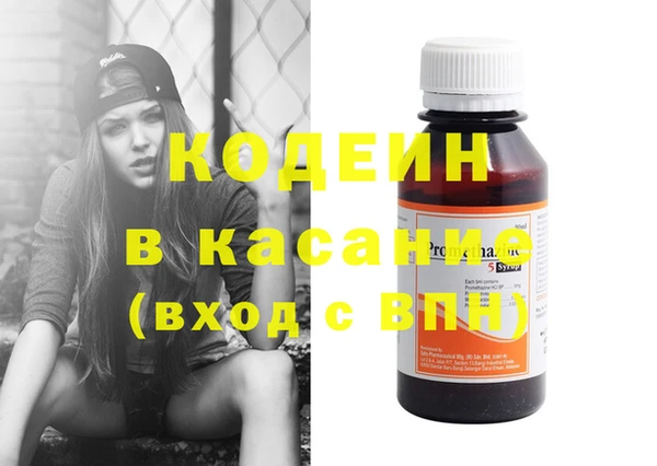 крисы Абаза