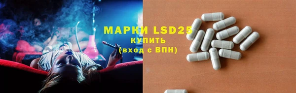 крисы Абаза