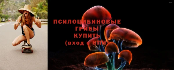 2c-b Абдулино
