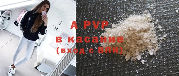 крисы Абаза