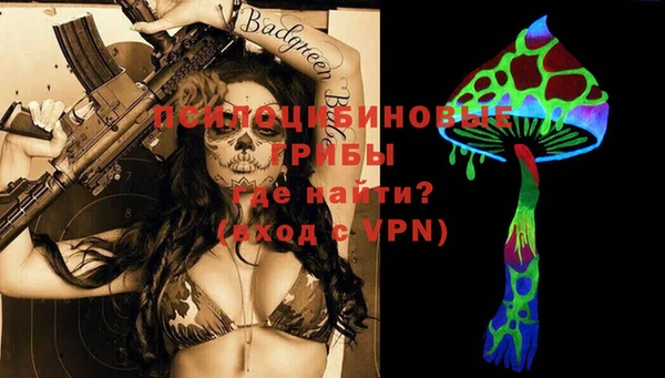 крисы Абаза