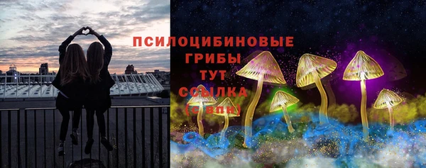 СК Абинск