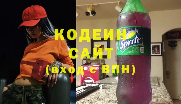 крисы Абаза