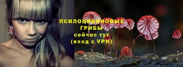 крисы Абаза