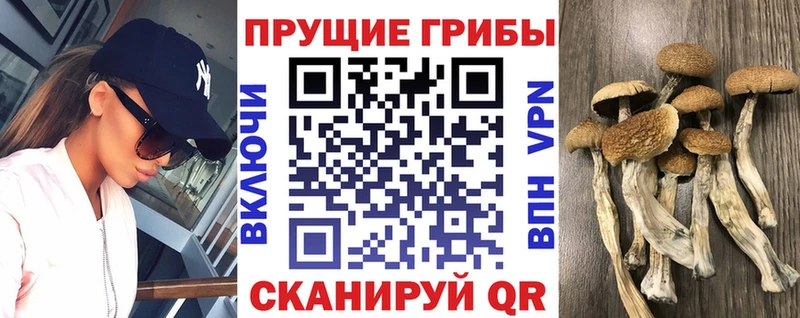 Галлюциногенные грибы прущие грибы кракен Сорск цены наркотик
